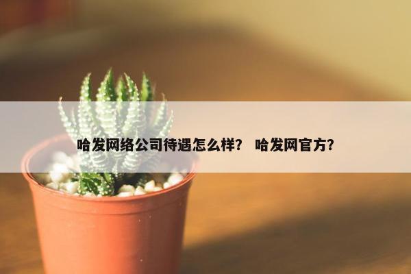 哈发网络公司待遇怎么样？ 哈发网官方？