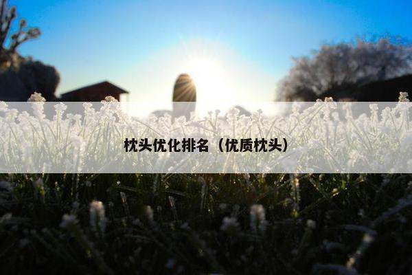 枕头优化排名（优质枕头）