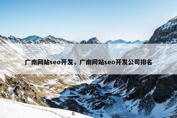 广南网站seo开发，广南网站seo开发公司排名