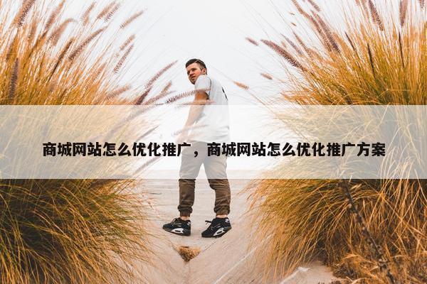 商城网站怎么优化推广，商城网站怎么优化推广方案