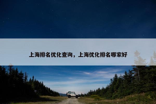 上海排名优化查询，上海优化排名哪家好