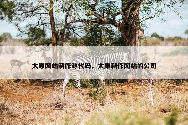 太原网站制作源代码，太原制作网站的公司