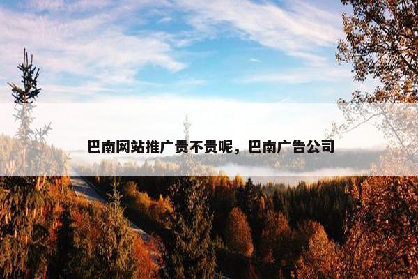 巴南网站推广贵不贵呢，巴南广告公司