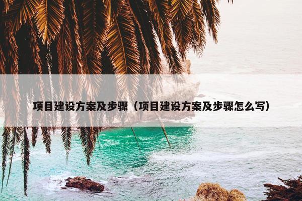 项目建设方案及步骤（项目建设方案及步骤怎么写）