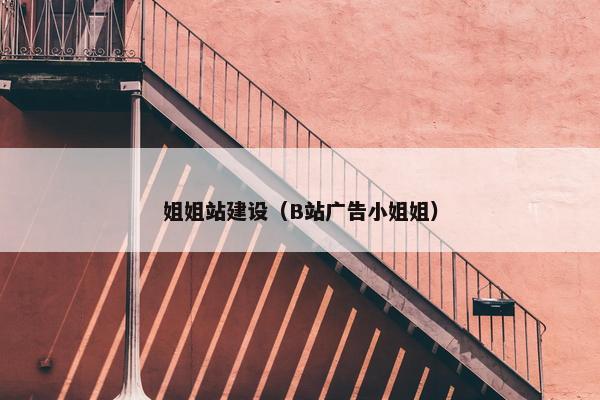 姐姐站建设（B站广告小姐姐）