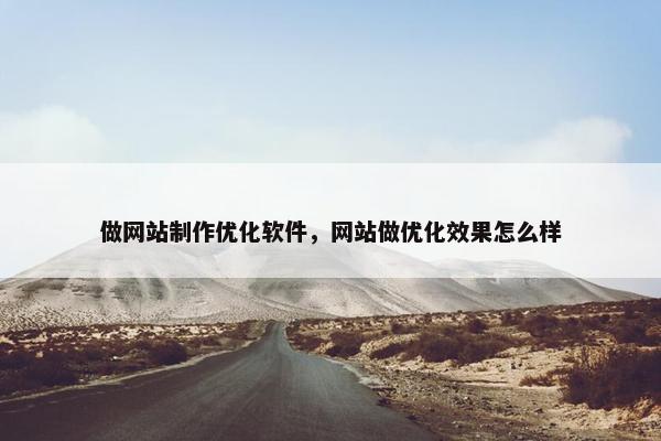 做网站制作优化软件，网站做优化效果怎么样