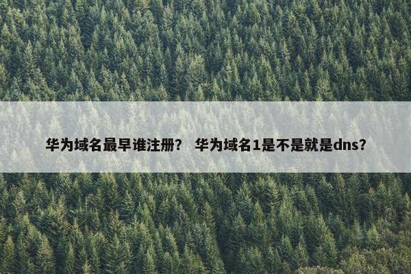 华为域名最早谁注册？ 华为域名1是不是就是dns？