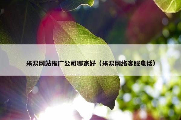 米易网站推广公司哪家好（米易网络客服电话）