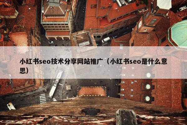 小红书seo技术分享网站推广（小红书seo是什么意思）