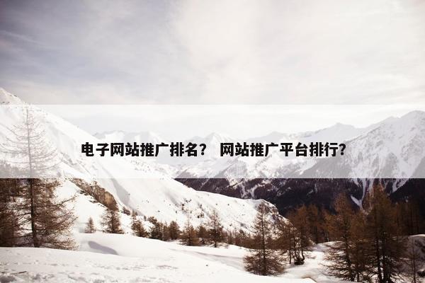 电子网站推广排名？ 网站推广平台排行？