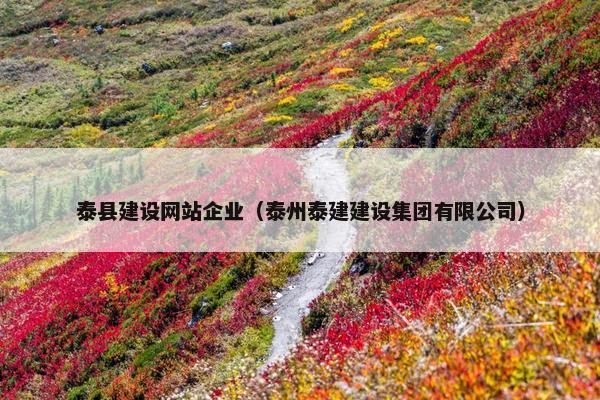 泰县建设网站企业（泰州泰建建设集团有限公司）