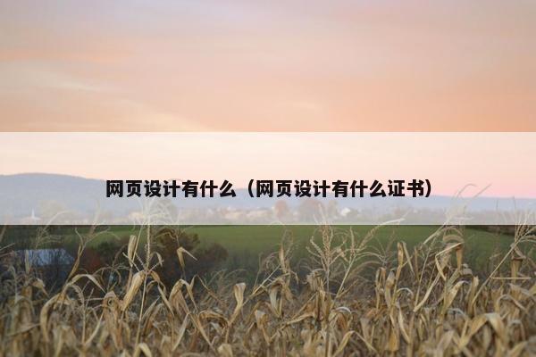 网页设计有什么（网页设计有什么证书）