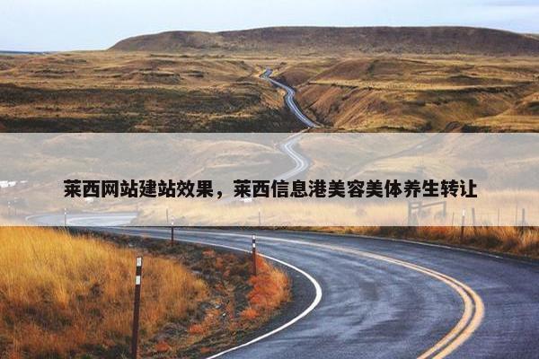 莱西网站建站效果，莱西信息港美容美体养生转让