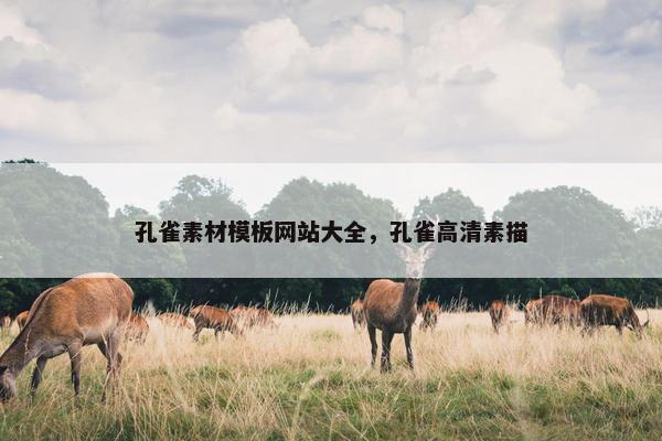 孔雀素材模板网站大全，孔雀高清素描