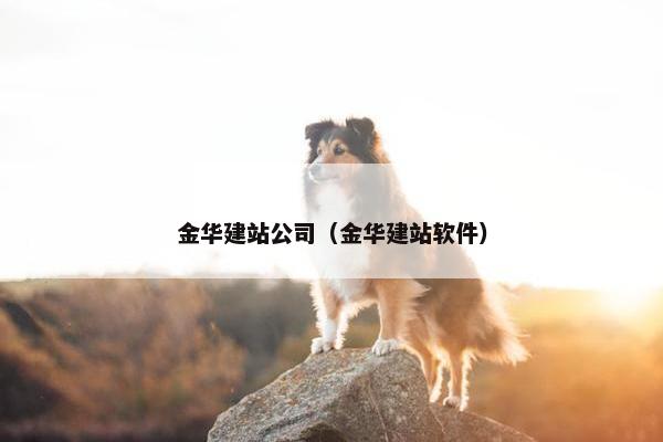 金华建站公司（金华建站软件）