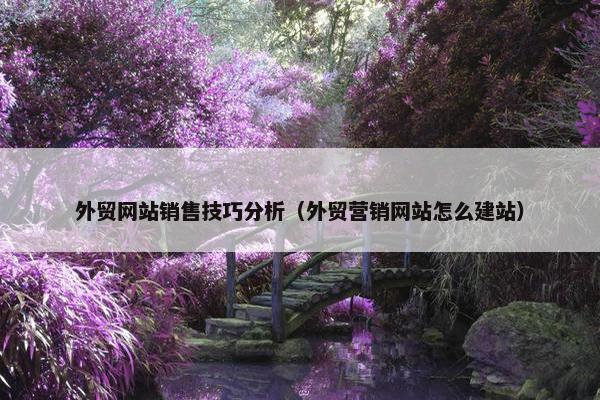 外贸网站销售技巧分析（外贸营销网站怎么建站）