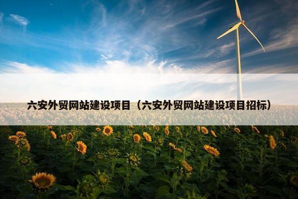 六安外贸网站建设项目（六安外贸网站建设项目招标）