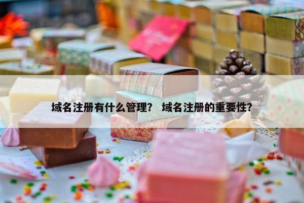 域名注册有什么管理？ 域名注册的重要性？