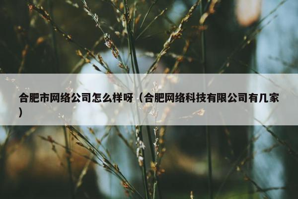 合肥市网络公司怎么样呀（合肥网络科技有限公司有几家）