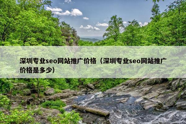 深圳专业seo网站推广价格（深圳专业seo网站推广价格是多少）