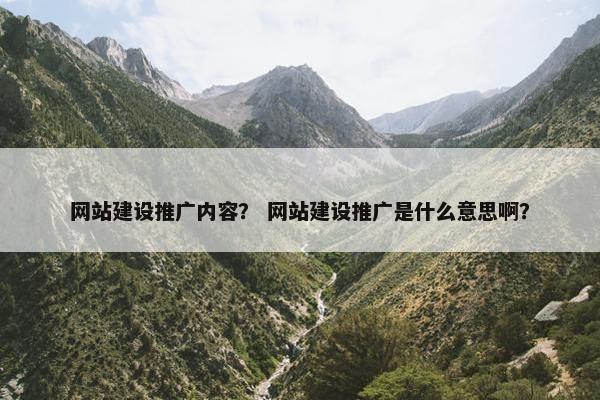 网站建设推广内容？ 网站建设推广是什么意思啊？