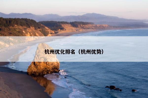 杭州优化排名（杭州优势）