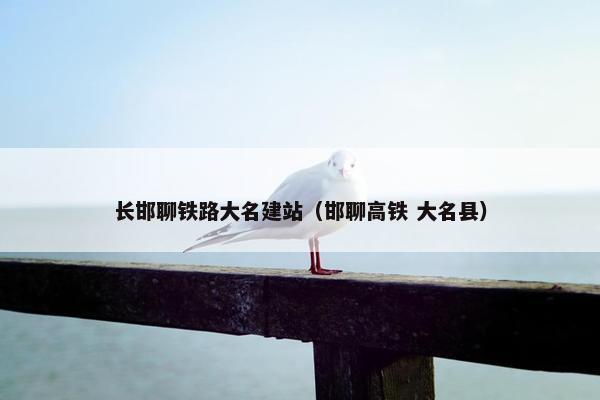 长邯聊铁路大名建站（邯聊高铁 大名县）