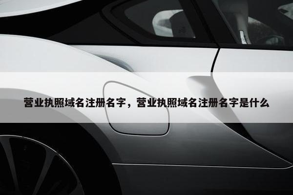 营业执照域名注册名字，营业执照域名注册名字是什么