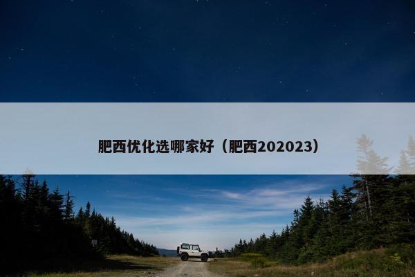 肥西优化选哪家好（肥西202023）