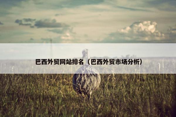 巴西外贸网站排名（巴西外贸市场分析）