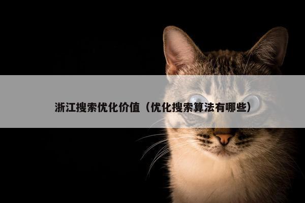 浙江搜索优化价值（优化搜索算法有哪些）