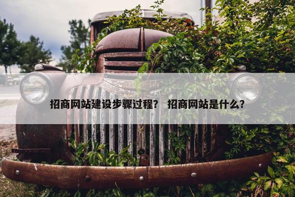 招商网站建设步骤过程？ 招商网站是什么？