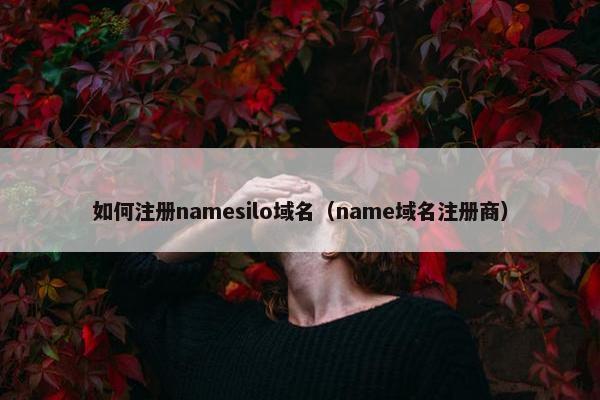 如何注册namesilo域名（name域名注册商）