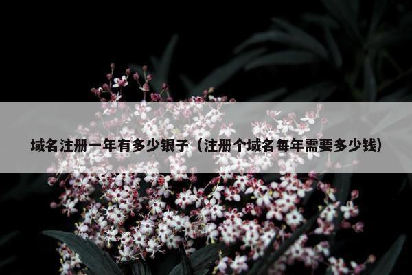 域名注册一年有多少银子（注册个域名每年需要多少钱）