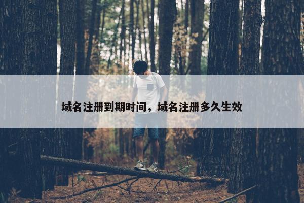 域名注册到期时间，域名注册多久生效