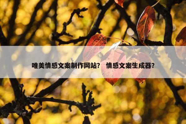 唯美情感文案制作网站？ 情感文案生成器？