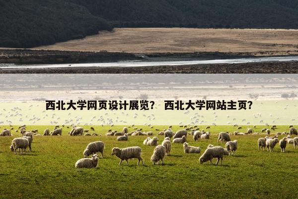 西北大学网页设计展览？ 西北大学网站主页？
