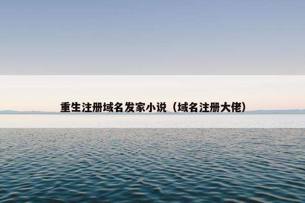 重生注册域名发家小说（域名注册大佬）