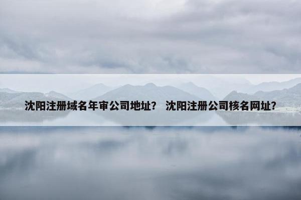 沈阳注册域名年审公司地址？ 沈阳注册公司核名网址？