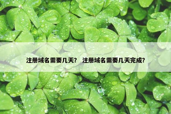 注册域名需要几天？ 注册域名需要几天完成？