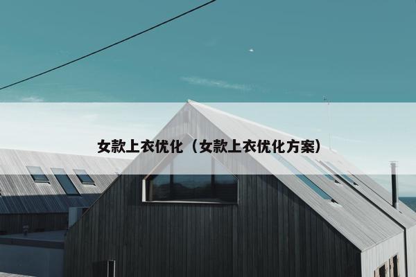 女款上衣优化（女款上衣优化方案）