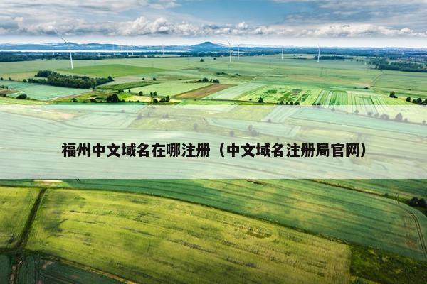 福州中文域名在哪注册（中文域名注册局官网）