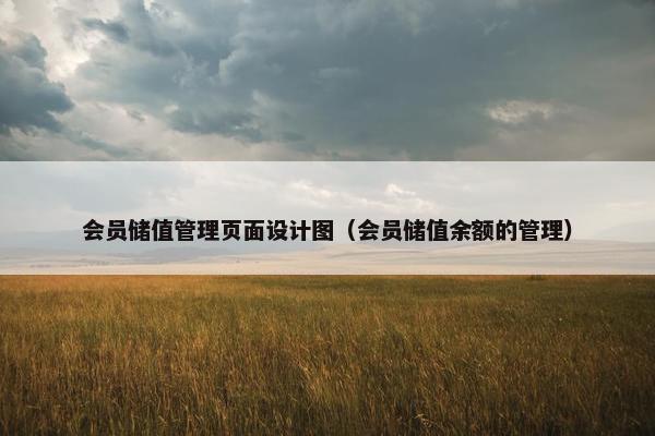 会员储值管理页面设计图（会员储值余额的管理）
