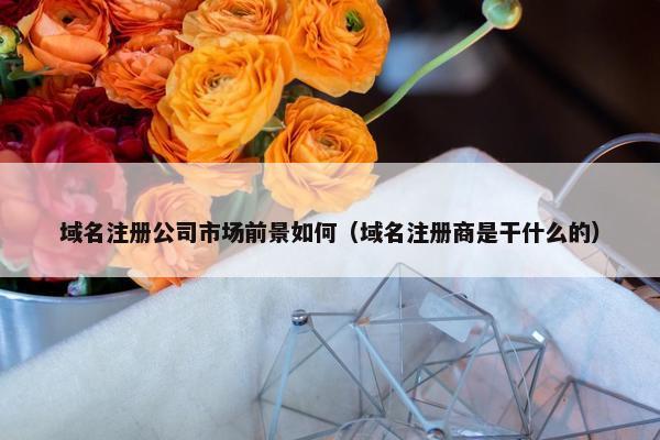 域名注册公司市场前景如何（域名注册商是干什么的）