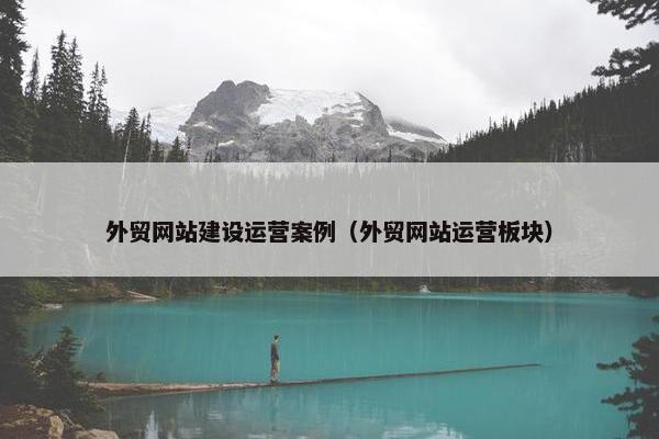 外贸网站建设运营案例（外贸网站运营板块）