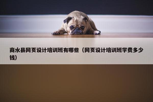商水县网页设计培训班有哪些（网页设计培训班学费多少钱）