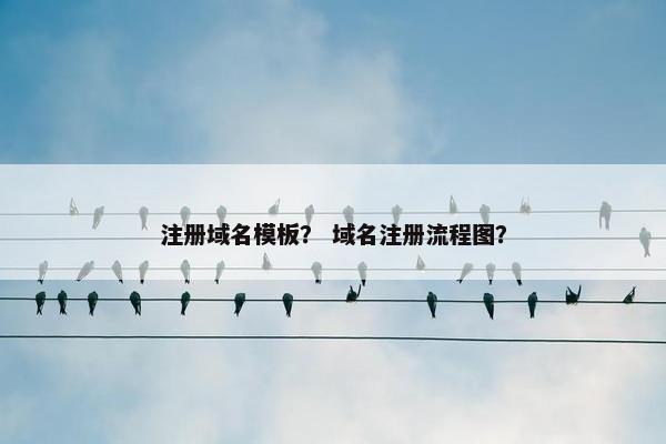 注册域名模板？ 域名注册流程图？