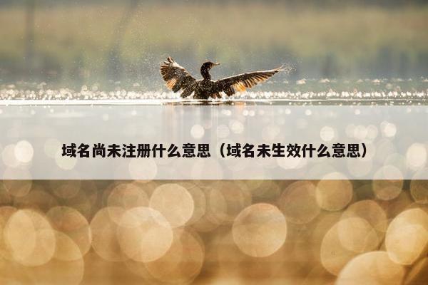 域名尚未注册什么意思（域名未生效什么意思）