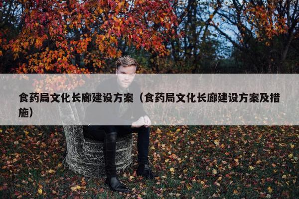 食药局文化长廊建设方案（食药局文化长廊建设方案及措施）