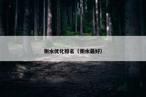衡水优化排名（衡水最好）
